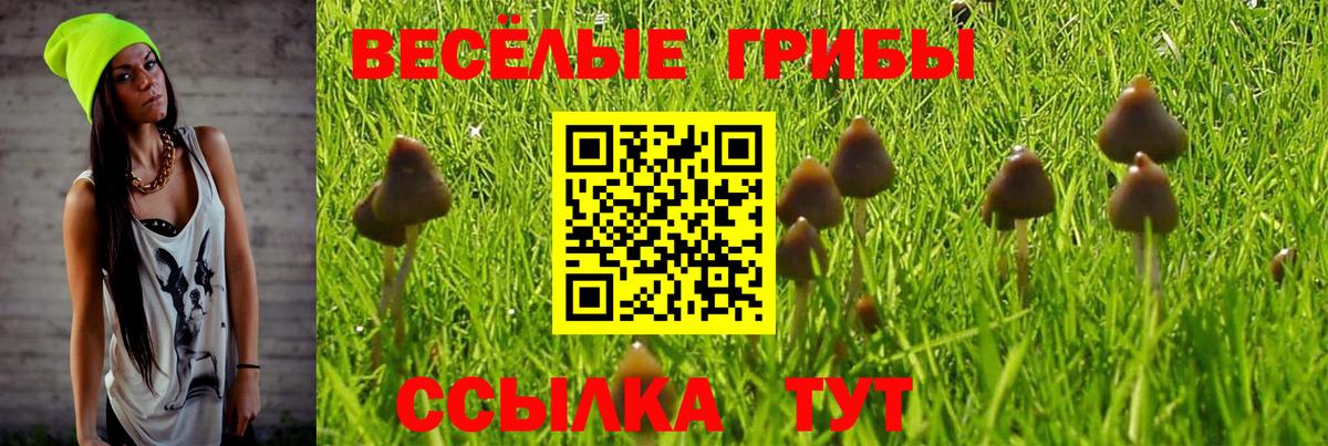 Галлюциногенные грибы Cubensis  Вход с VPN  Зерноград  Псилоцибиновые грибы Psilocybine cubensis 
