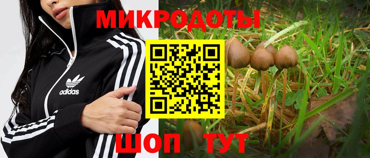 Галлюциногенные грибы GOLDEN TEACHER Зерноград