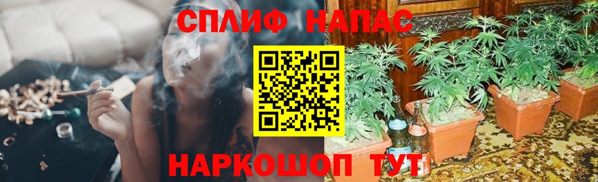Зерноград  Марихуана OG Kush  Бошки Шишки семена  Вход с VPN  Бошки Шишки Amnesia 